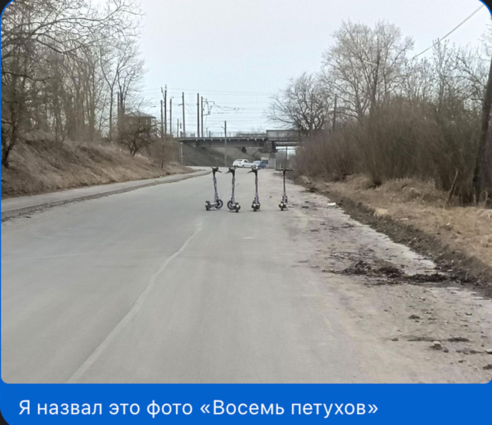 Я назвал это фото «Восемь петухов»