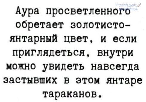 Аура просветленного обретает золотисто-янтарный цвет, и если приглядеться, внутри можно увидеть навсегда застывших в этом янтаре тараканов.