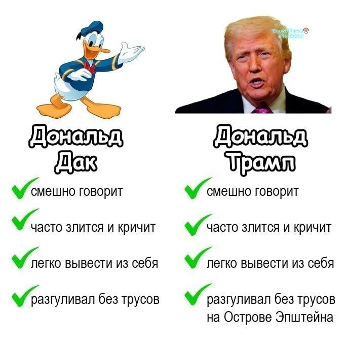 Дональд Дак смешно говорит часто злится и кричит легко вывести из себя разгуливал без трусов. Дональд Трамп смешно говорит часто злится и кричит легко вывести из себя разгуливал без трусов на Острове Эпштейна.