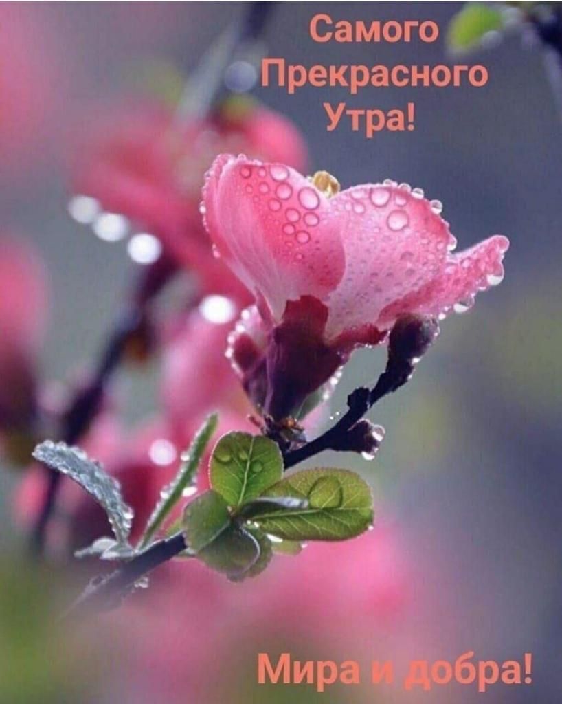 Самого Прекрасного Утра