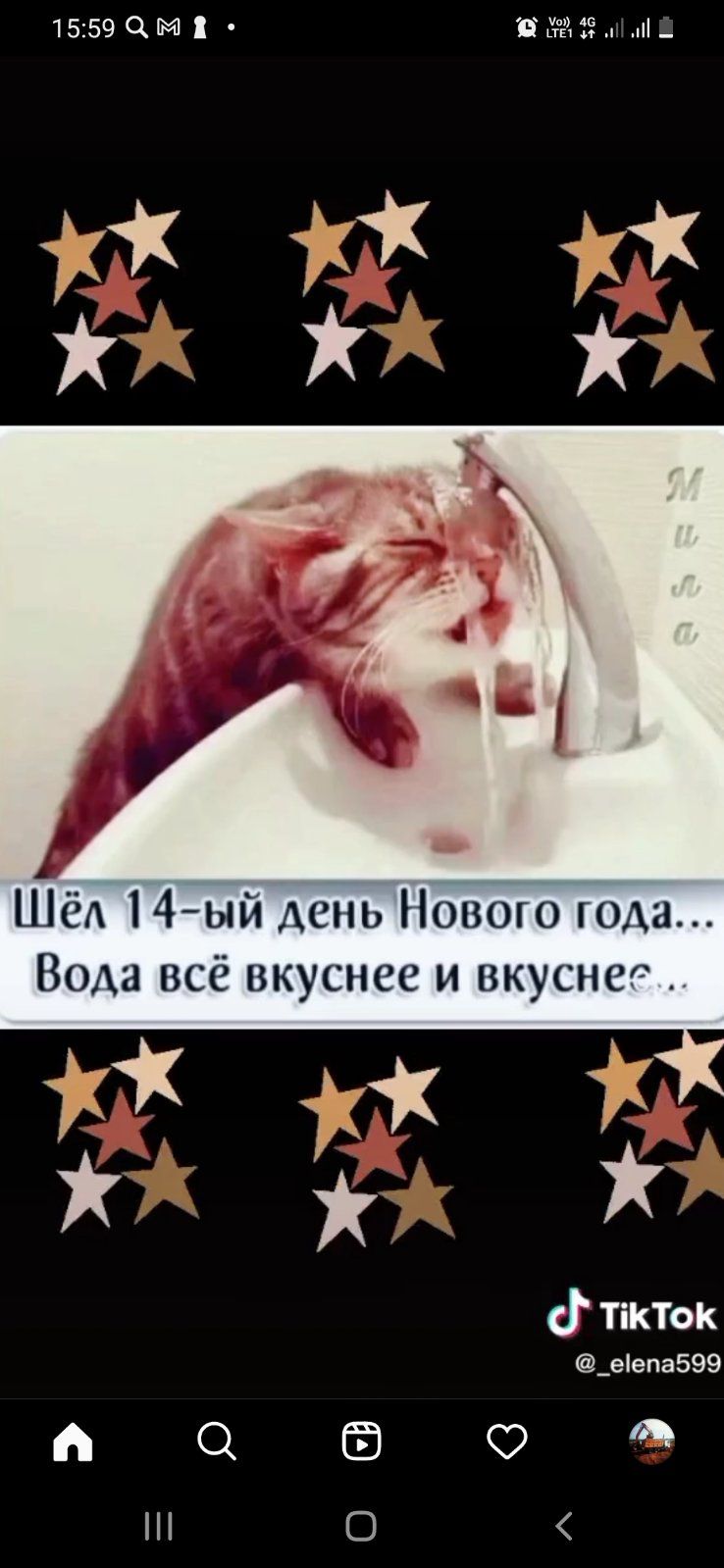 1559ЧМ 325 Шёд 4ый день Нового года Вода все вкуснее и вкуснее 1 ТіКТоК _еепа599