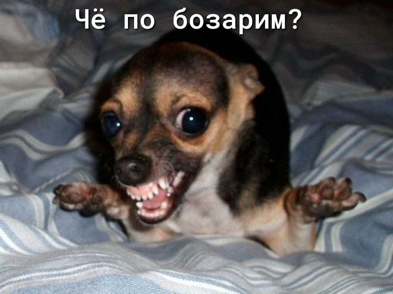 Чё по бозарим
