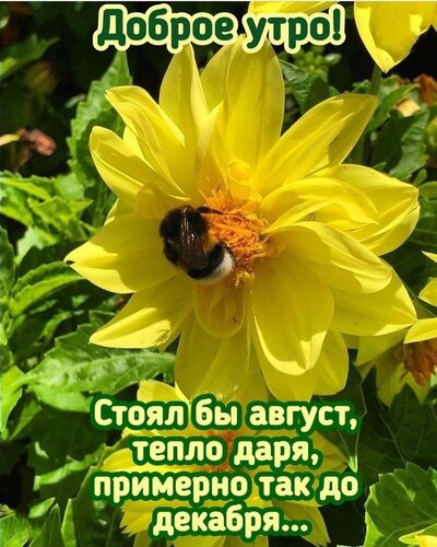 7 а 4 5 мУ а Ст_саійбй август датепло даря3 оат примернотакдо Ядекабря В