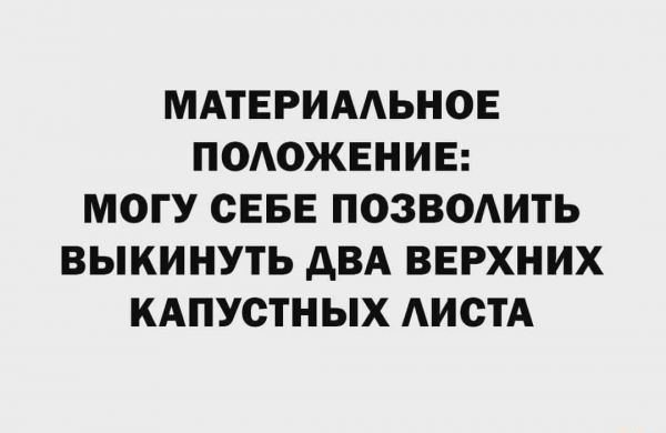 МАТЕРИААЬНОЕ ПОАОЖЕНИЕ МОГУ СЕБЕ ПОЗВОАИТЬ ВЫКИНУТЬ АВА ВЕРХНИХ КАПУСТНЫХ АИСТА