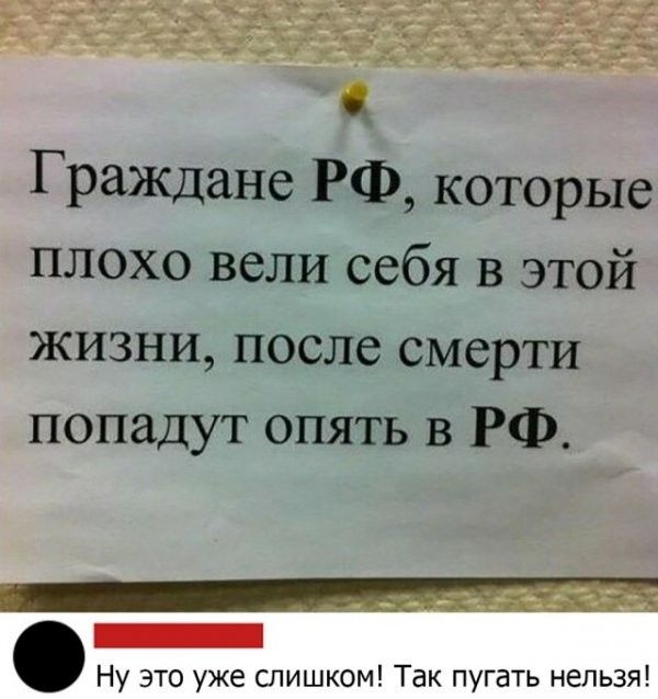 Граждане РФ которые плохо вели себя в этой жизни после смерти попадут опять в РФ Ну это уже слишком Так пугать нельзя