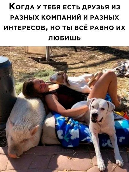 КОГДА У ТЕБЯ ЕСТЬ дРУЗЬЯ ИЗ РАЗНЫХ КОМПАНИЙ И РАЗНЫХ ИНТЕРЕСОВ НО ТЫ ВСЁ РАВНО ИХ ЛЮБИШЬ