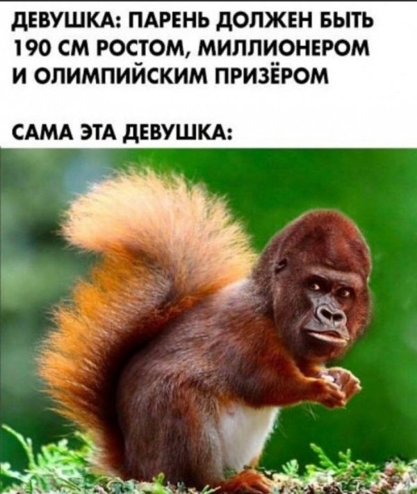 дЕБУШКА ПАРЕНЬ дОПЖЕН БЫТЬ 190 СМ РОС_ТОМ МИПЛЦОНЕРОМ И ОПИМПИИСКИМ ПРИЗЕРОМ САМА ЭТА дЕВУШКА