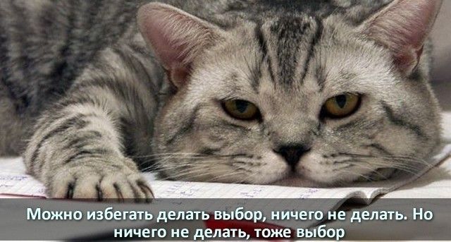 можт набег выбор иичеш не делать по его не делать тоже выбов