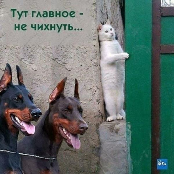 Тут гАавное не чихнуть