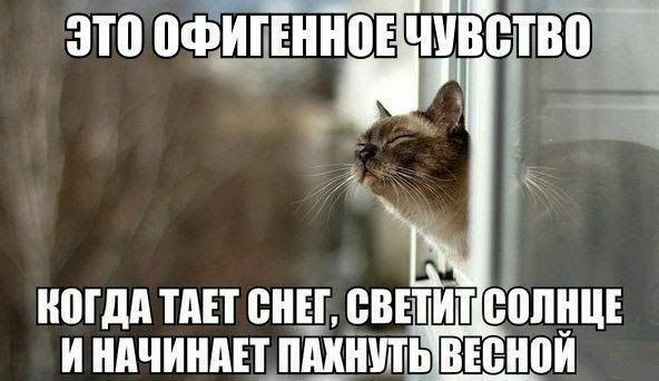 зто идёт 74Ё _ ИПГдд ТПЕТ ВНЕ ВВЕТИТ ВВПИЦЕ И НАЧИНАЕТ ПМИПЬ ВЕЁИВИ