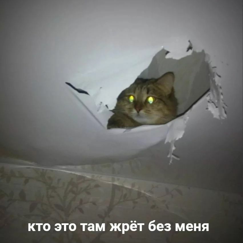 кто это там жрёт без меня