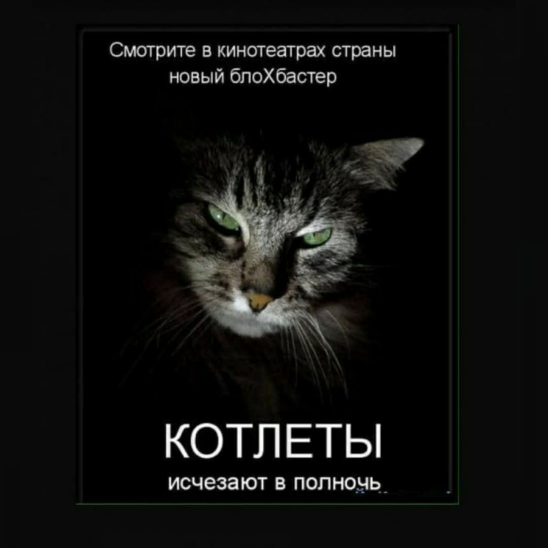 Смотрите в кинотеатрах страны новый блоХбастер КОТЛЕТЫ ИСЧЕЗЗЮТ В ПОПНОЫЬ _