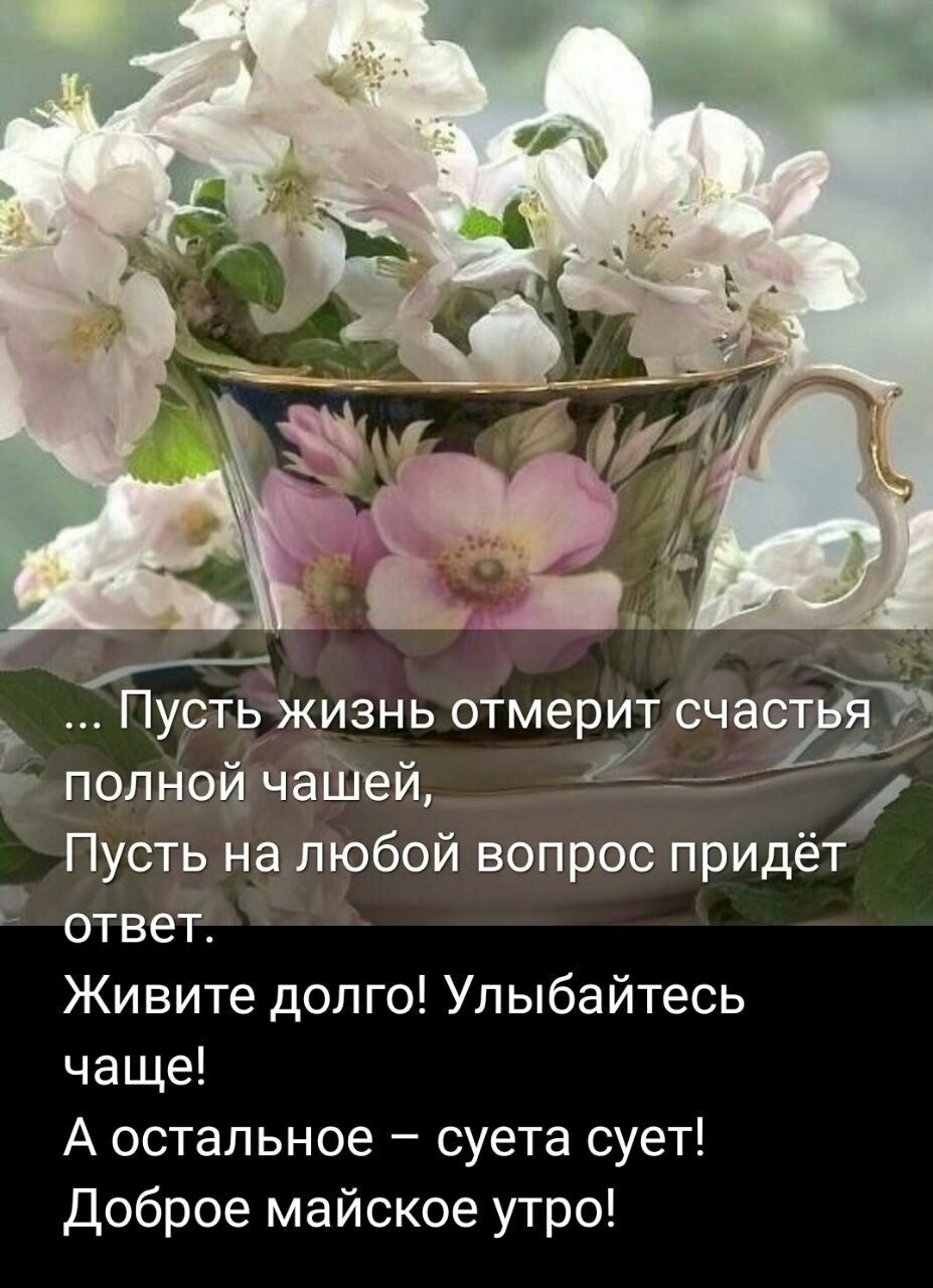 э Пустьжизнь отмерит очный полной чаШей Пусть на любой вопрос придёт ответ Живите долго Улыбайтесь чаще А остальное суета сует Доброе майское утро