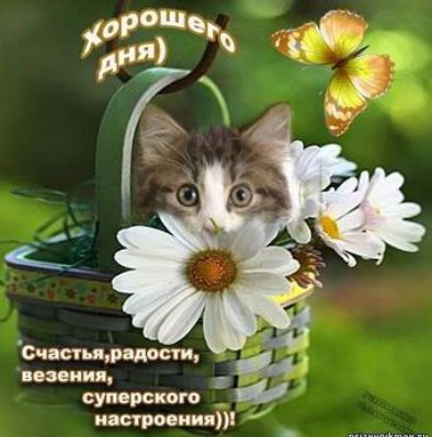 Счктьитцости везения суп рекою настроеня