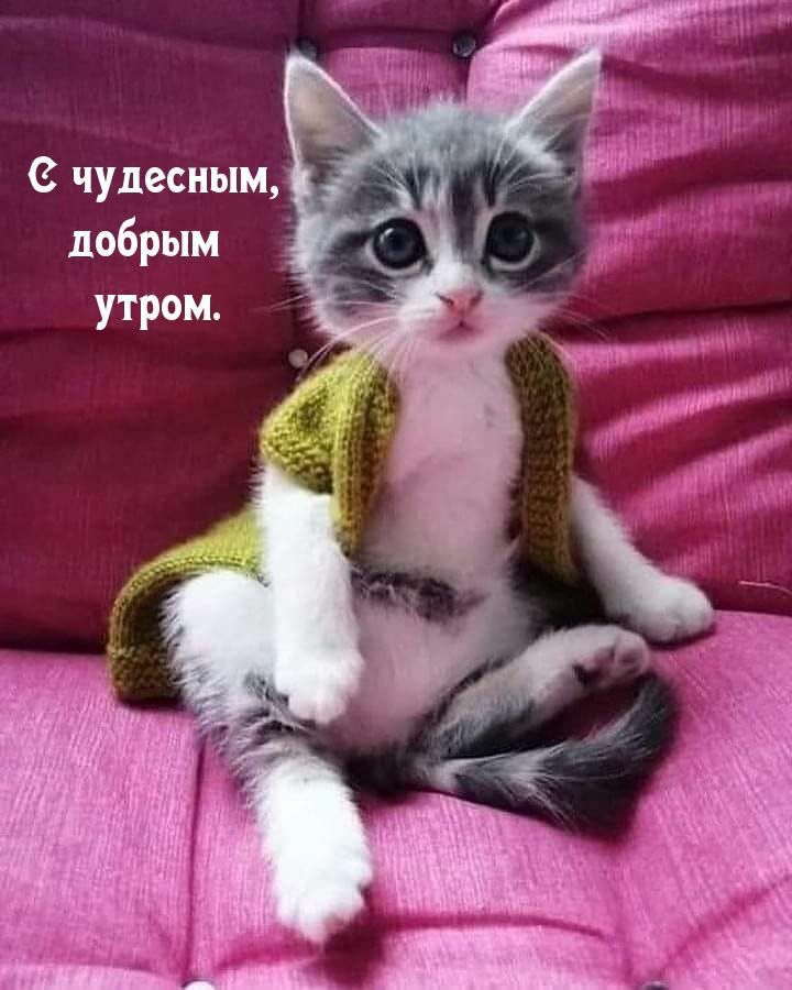 чудесным добрым