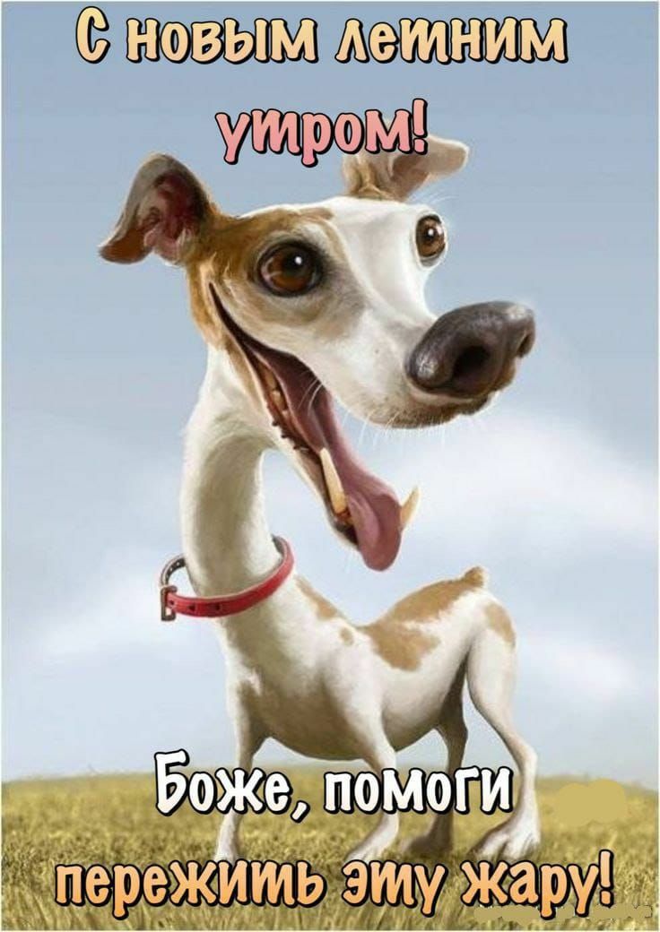 ЭновынмуЛетниМ