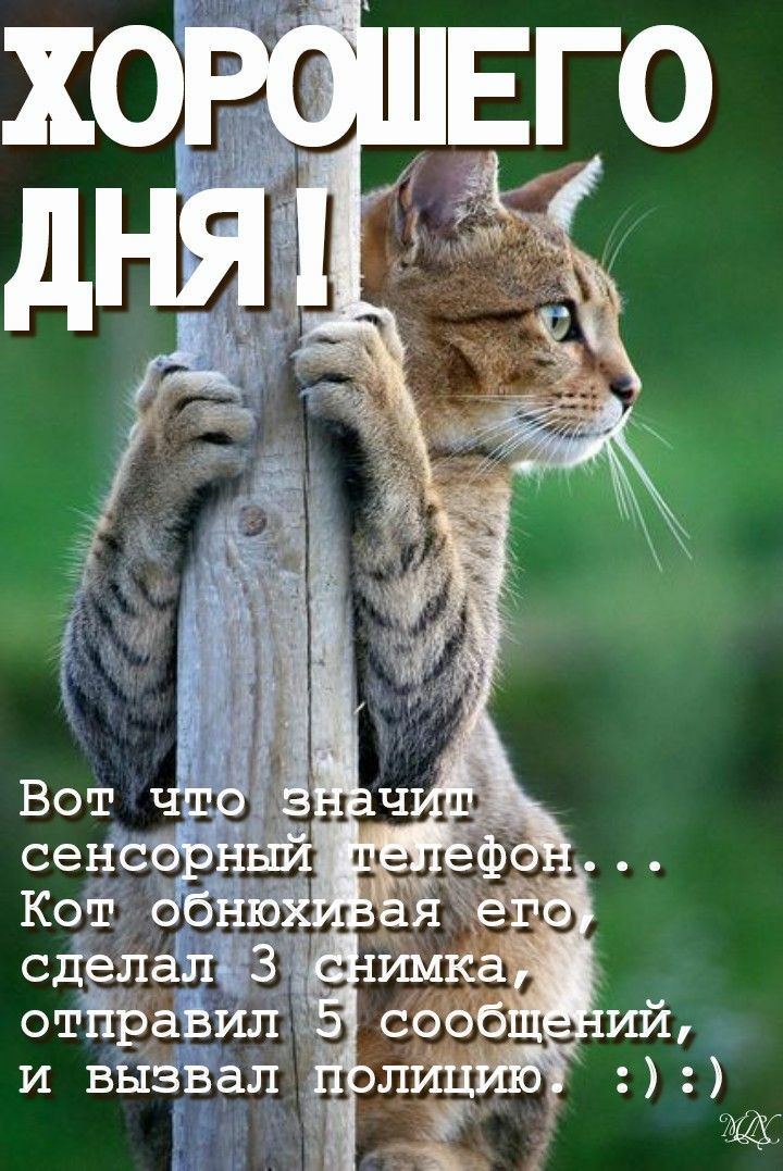 сделалЁЗ н имка отйраёил и вызвал