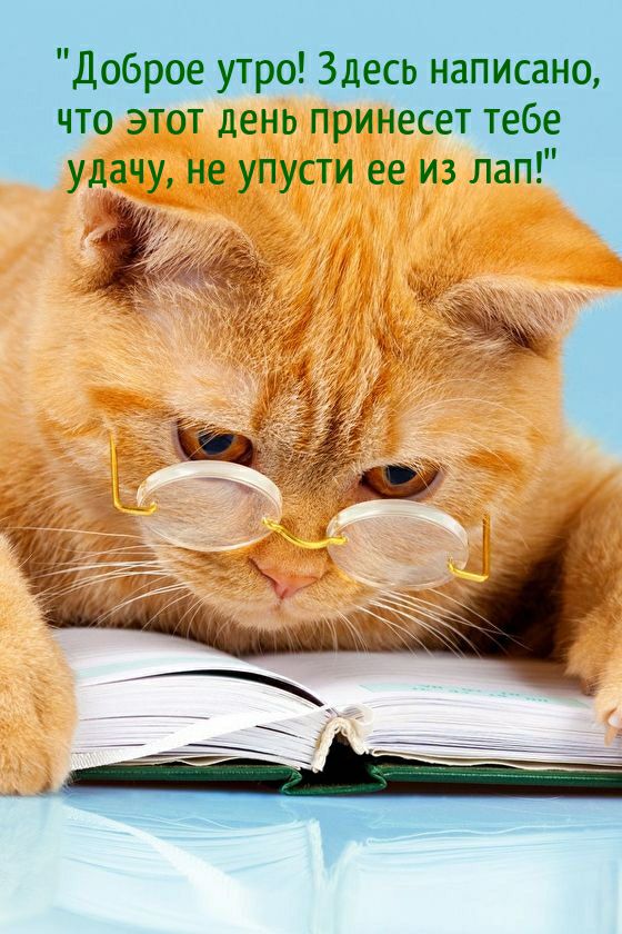 Доброе утро Здесь написано что этот день принесет тебе Ёуісти еедиз лап