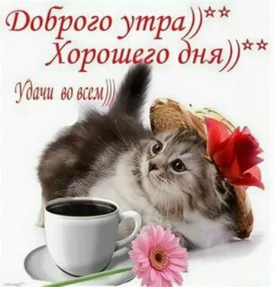 доброго утра Хорош ня