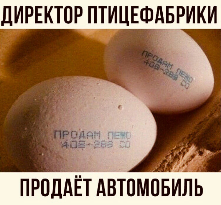 ДИРЕКТОР ПТИЦЕФАБРИКИ д пюдМдвтомвИь