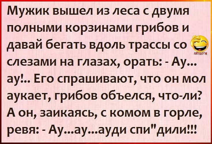МУЖИК ВЫШЕЛ ИЗ леса С дВУМЯ ПОЛНЫМИ КОРЗИНЭМИ грибов И давай бегать ВДОЛЬ трассы СО слезами на ГЛЭЗЭХ ораТЬ АУ ау Его спрашивают что он мол аукает грибов объелся что ли А он заикаясь с комом в горле ревя Ауауауди спидили