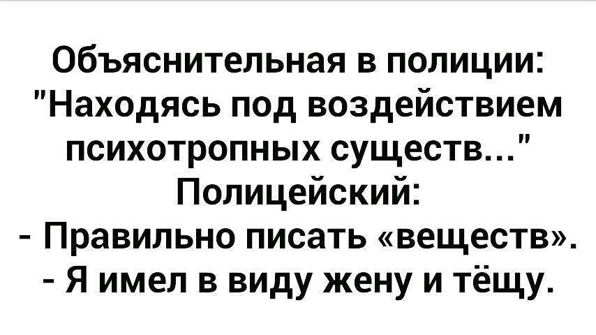 Объяснительная в полиции Находясь под воздействием психотропных существ Полицейский Правильно писать веществ Я имел в виду жену и тёщу