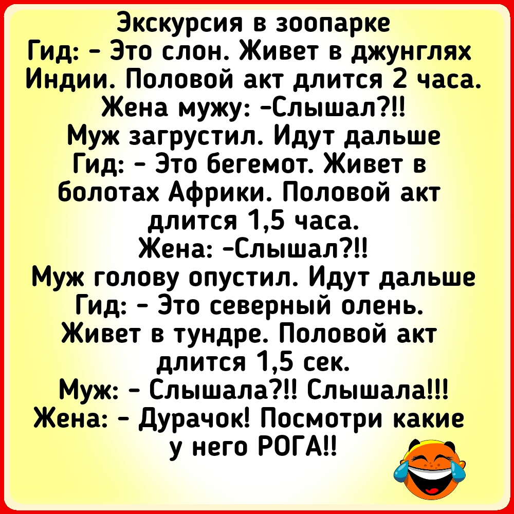Экскурсия в зоопарке Гид Это слон Живет в джунглях Индии Половой акт длится 2 часа Жена мужу Слышал Муж загрустил Идут дальше Гид Это бегемот Живет в болотах Африки Половой акт длится 15 часа Жена Слышал Муж голову опустил Идут дальше Гид Зто северный олень Живет в тундре Половой акт длится 15 сек Муж Слышала Слышала Жена дУРачок Посмотри какие у него РОГА