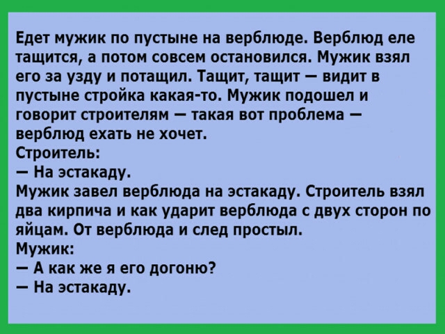 Едет мужик по пустыне на верблюде Верблюд еле тащится а потом совсем остановился Мужик взял его за узду и потащил Тащит тащит видит в пустыне стройка какая то Мужик подошел и ГОВОРИТ строителям _ такая ВОТ проблема верблюд ехать не хочет Строитель На эстакаду Мужик завел верблюда на эстакаду Строитель взял два кирпича и как ударит верблюда с двух сторон по яйцам От верблюда и след простыл Мужик А 