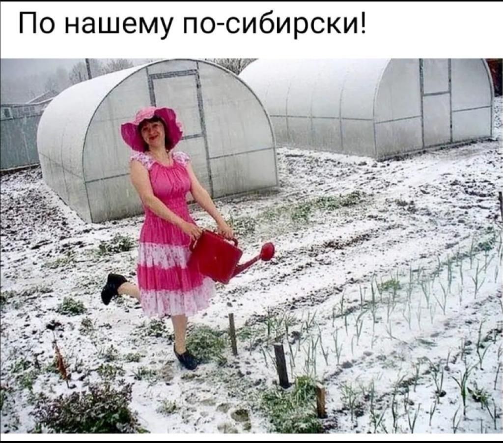 По нашему по сибирски