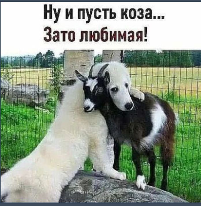 Ну и пусть коза Зато любимая