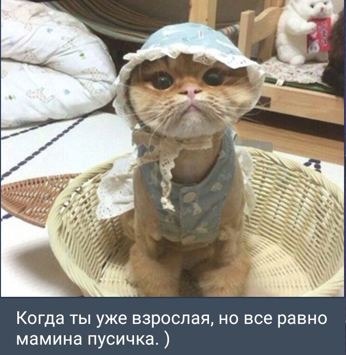 Когда ты уже взрослая но все равно мамина пусичка