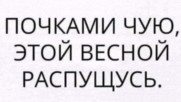 ПОЧКАМИ чую этой ВЕСНОЙ РАСПУЩУСЬ