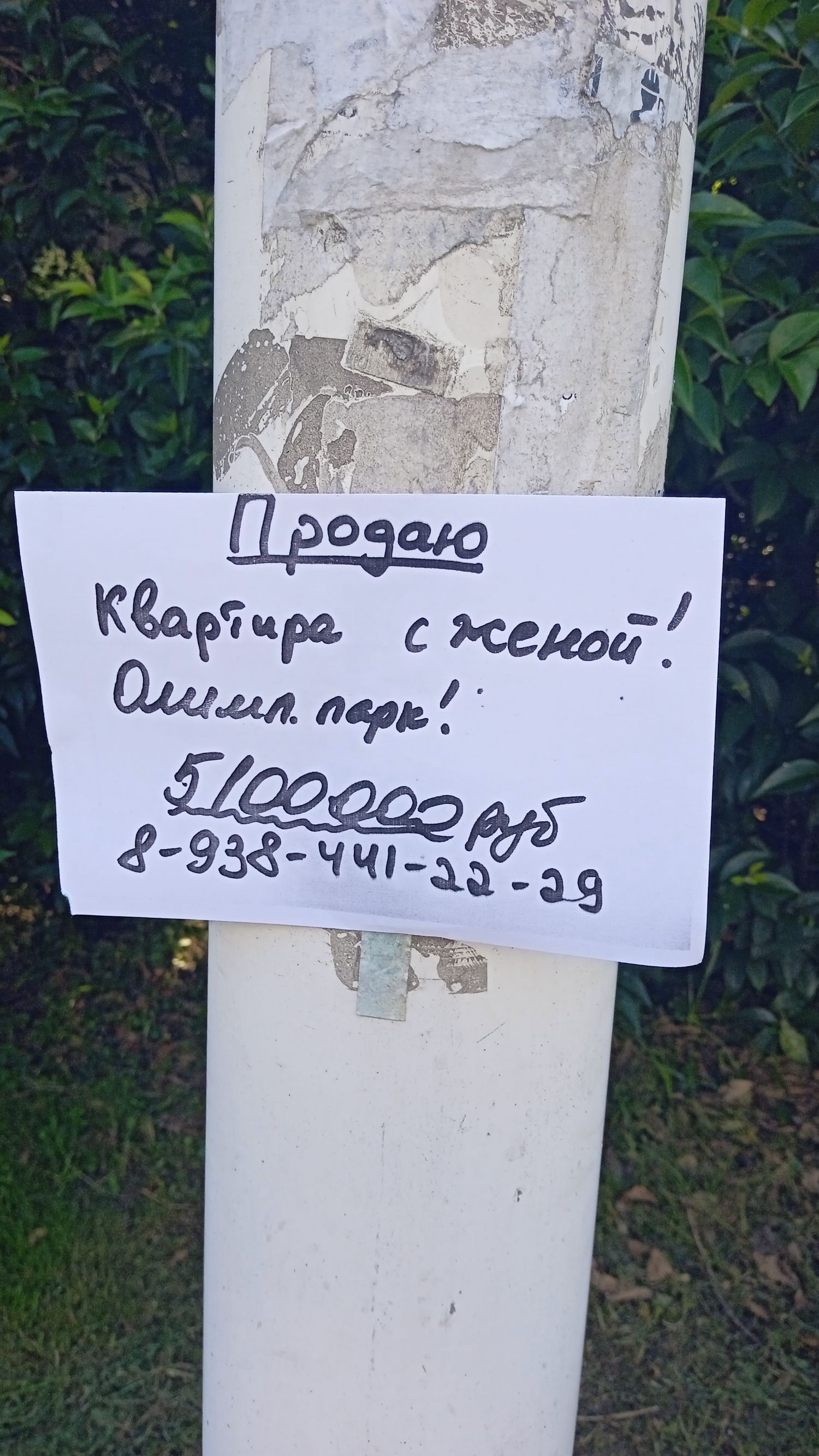 В3Ю кед 0453 кем мир Рй 75 Зэд чт 3 38