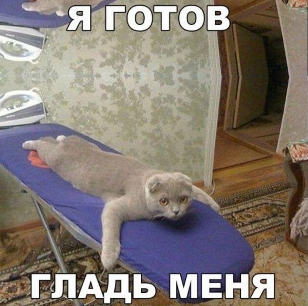 Я готов гладить меня