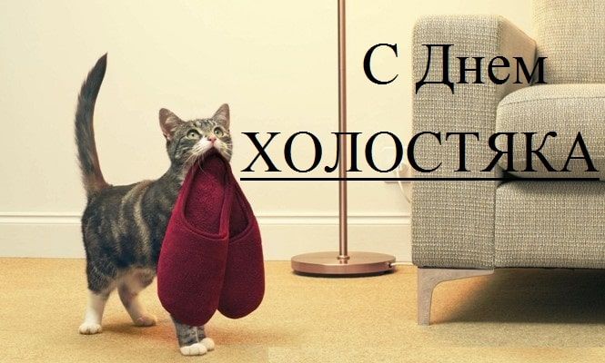 С Днем ХОЛОСТЯКА