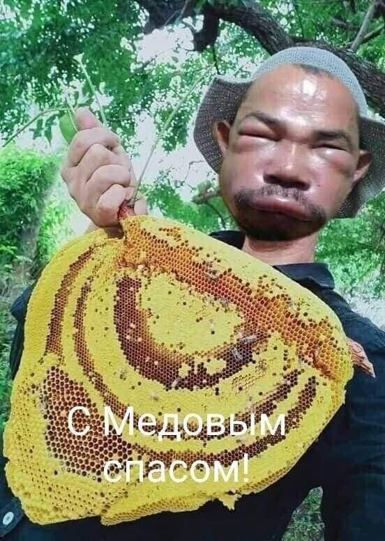 С Медовым спасом!