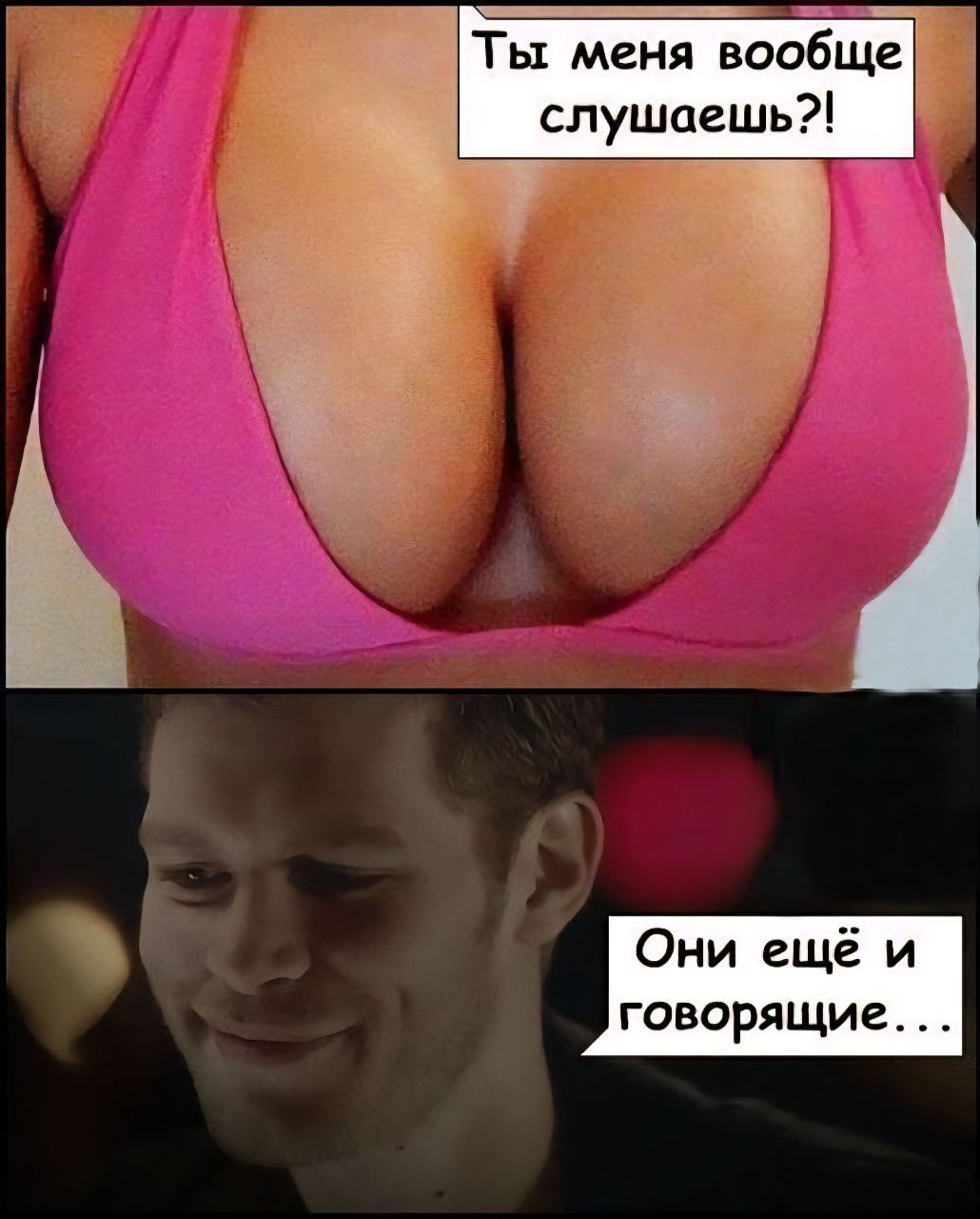 Ты меня вообще слушаешь?!
Они ещё и говорящие...