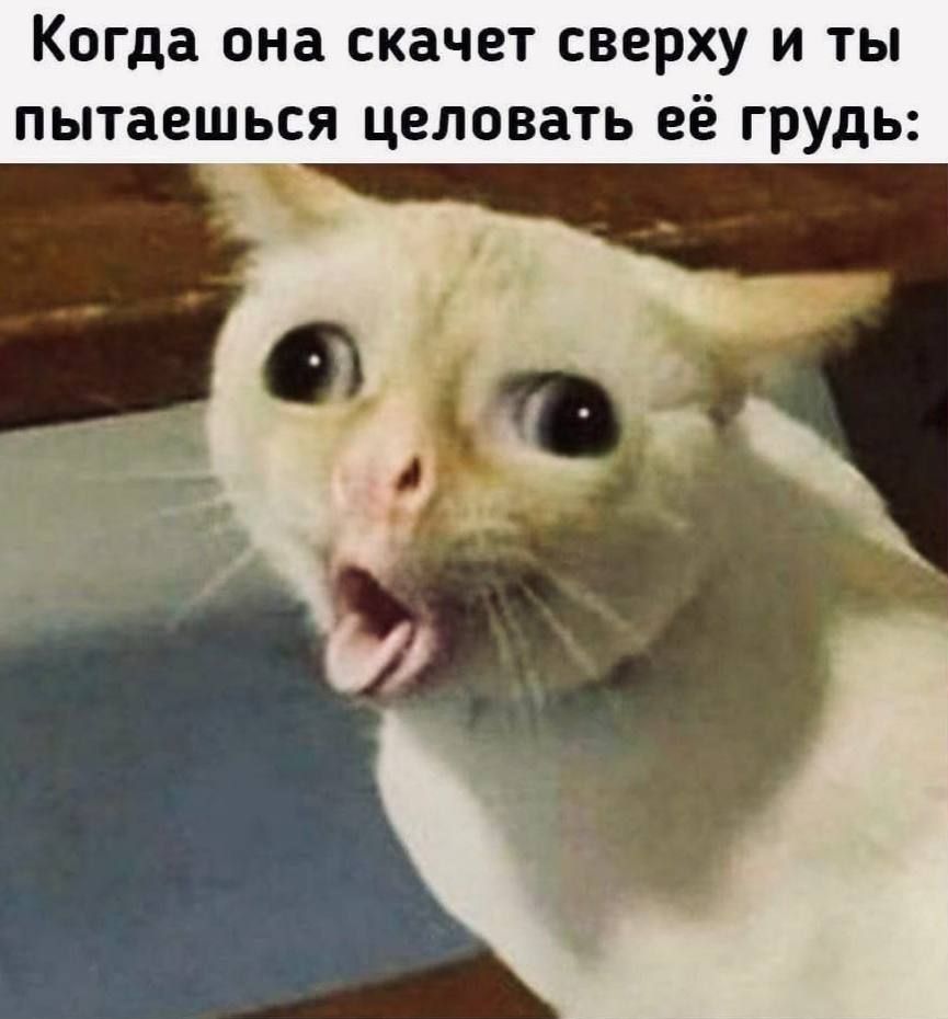 Когда она скачет сверху и ты пытаешься целовать её грудь: