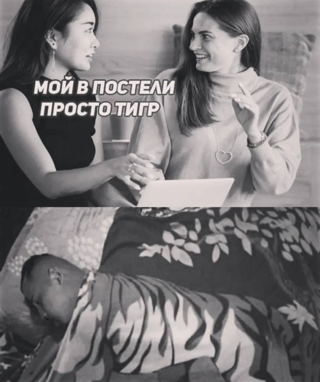 МОЙ В ПОСТЕЛИ ПРОСТО ТИГР