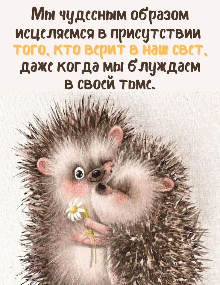 Мы чудесным образом исцеляемся в присутствии того, кто верит в наш свет, даже когда мы блуждаем в своей тьме.