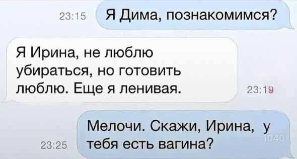 Я Дима, познакомимся?
Я Ирина, не люблю убираться, но готовить люблю. Ещё я ленивая.
Мелочи. Скажи, Ирина, у тебя есть вагина?