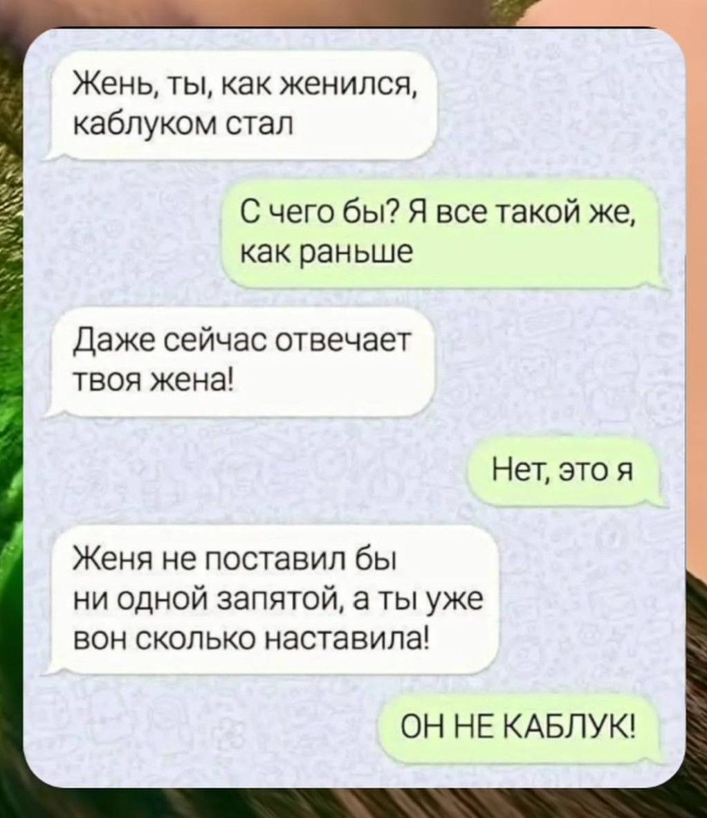 Жень, ты, как женился, каблуком стал
С чего бы? Я все такой же, как раньше
Даже сейчас отвечает твоя жена!
Нет, это я
Женя не поставил бы ни одной запятой, а ты уже вот сколько наставила!
ОН НЕ КАБЛУК!