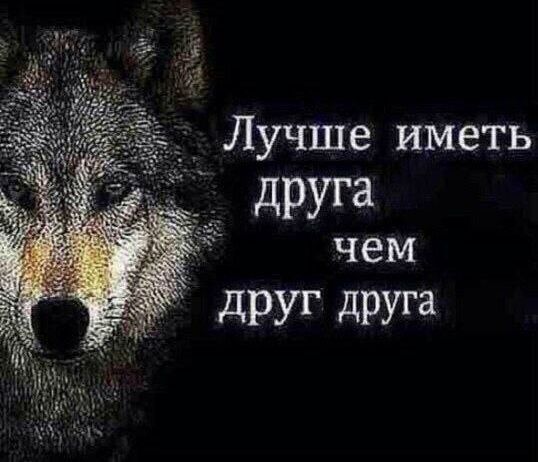 Лучше иметь друга чем друг друга