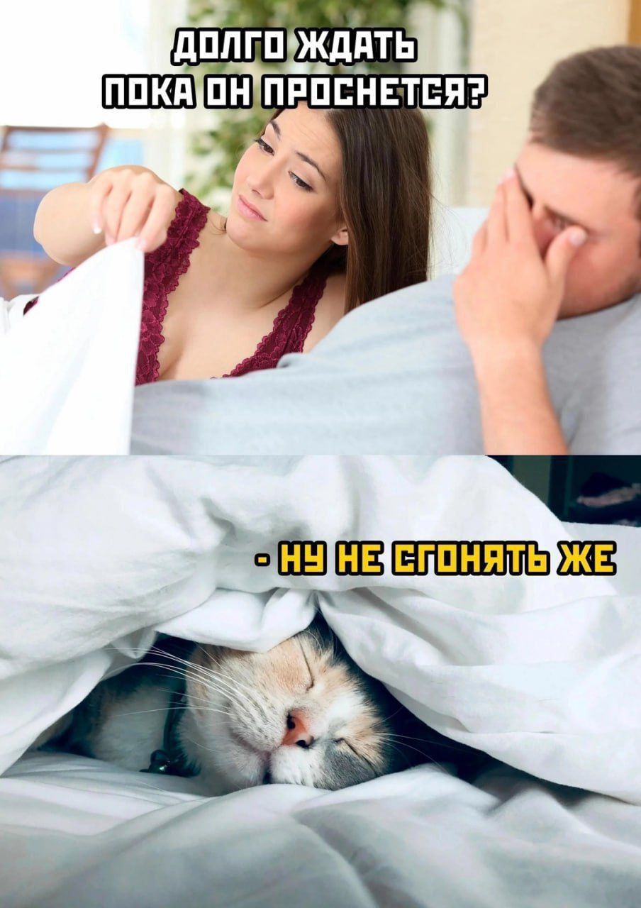 ДОЛГО ЖДАТЬ ПОКА ОН ПРОСНЕТСЯ? 
- НУ НЕ СОГНЯТЬ ЖЕ