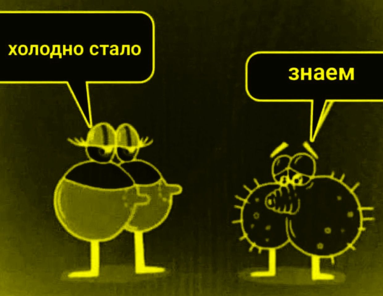 холодно стало знаяем