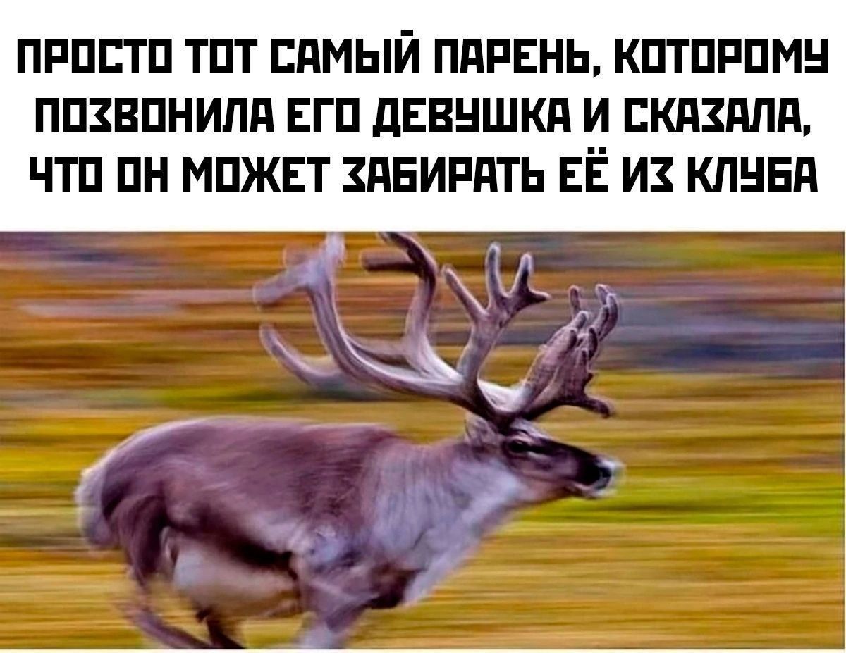 ПРОСТО ТОТ САМЫЙ ПАРЕНЬ, КОТОРОМ ПОЗВОНИЛА ЕГО ДЕВУШКА И СКАЗАЛА, ЧТО ОН МОЖЕТ ЗАБИРАТЬ ЕЕ ИЗ КЛУБА