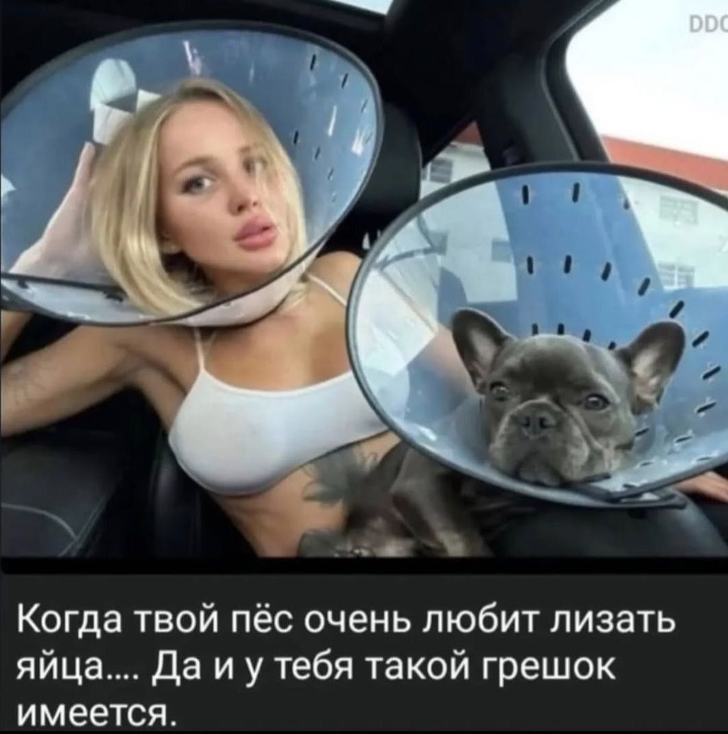 Когда твой пёс очень любит лизать яйца... Да и у тебя такой грешок имеется.