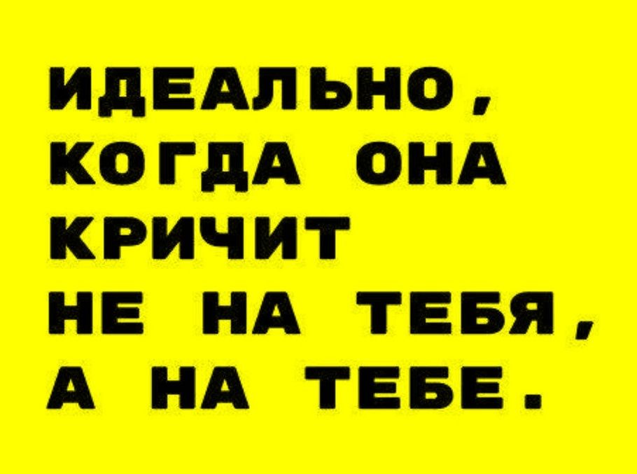 ИДЕАЛЬНО , КОГДА ОНА КРИЧИТ НЕ НА ТЕБЯ, А НА ТЕБЕ.
