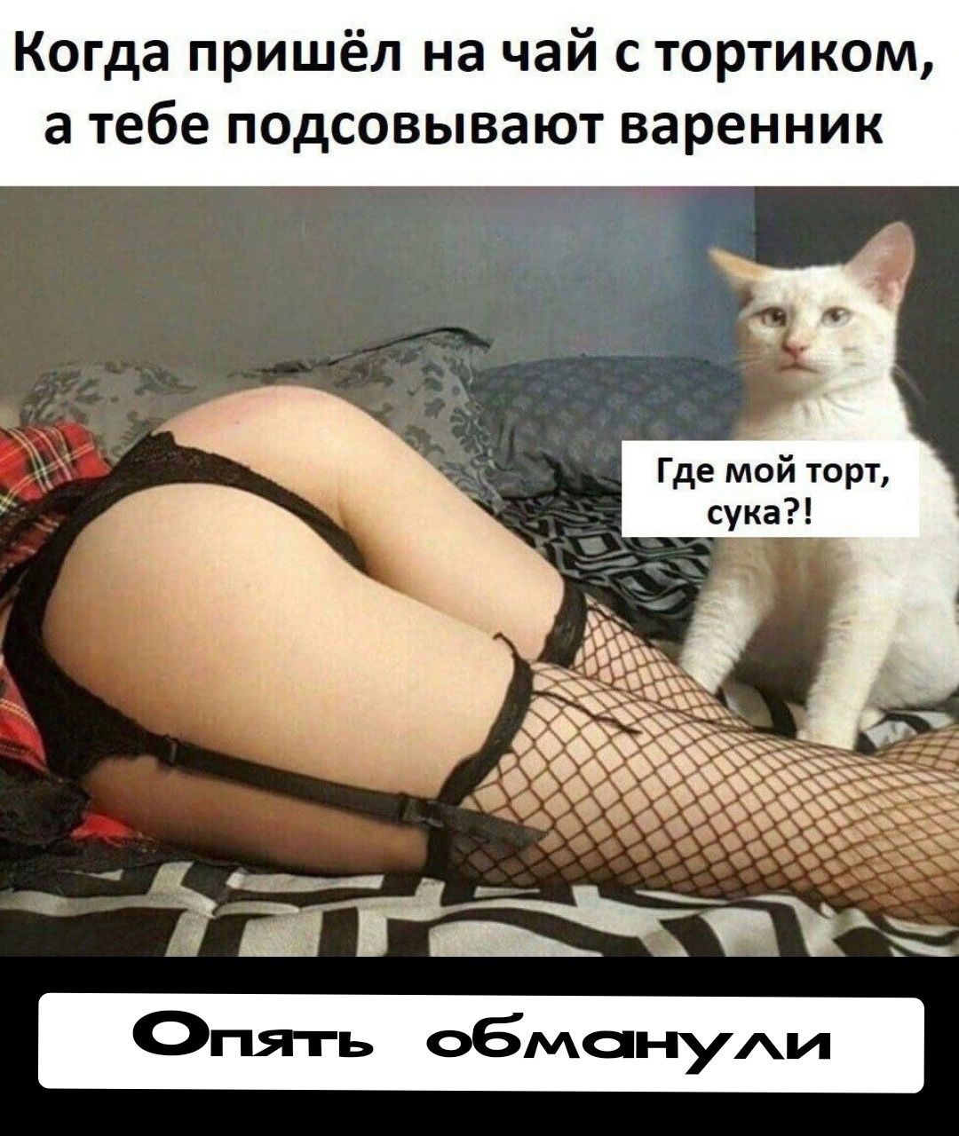 Когда пришёл на чай с тортинком, а тебе подсовывают варенник Где мой торт, сука?! Опять обманули