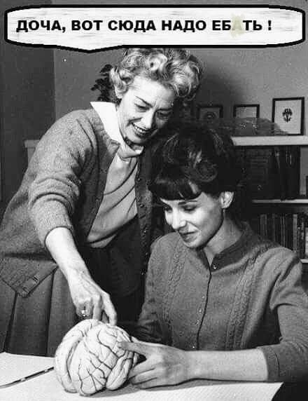 ДОЧА, ВОТ СЮДА НАДО ЕБ ТЬ!